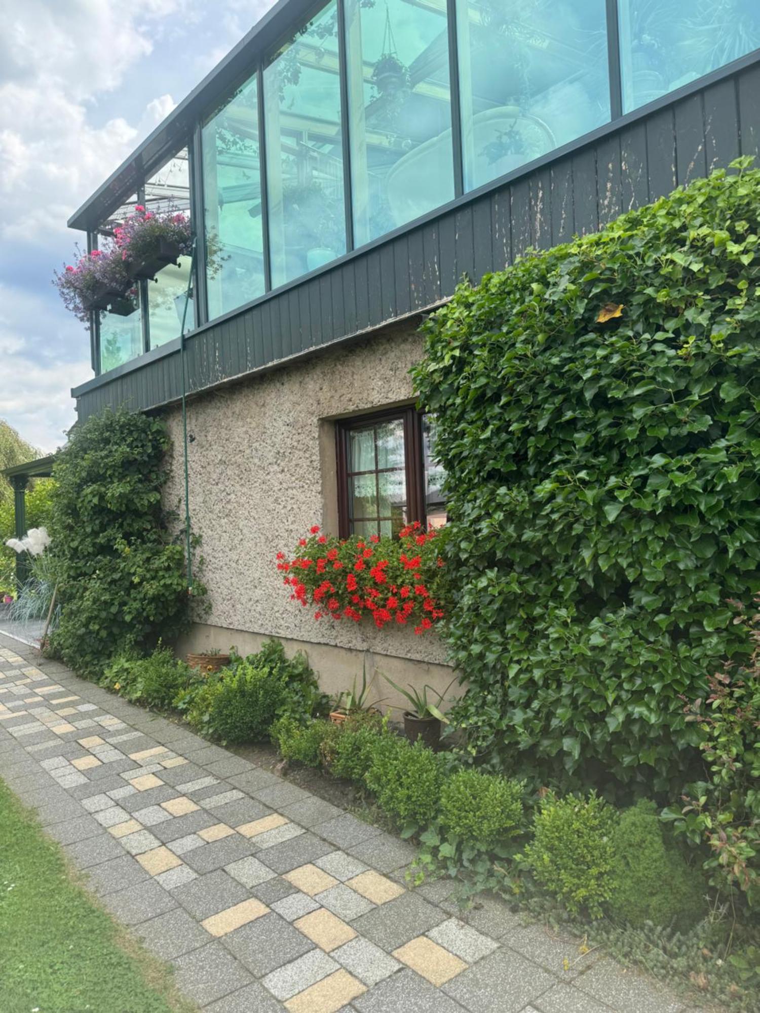 Ferienwohnung Hinterhermsdorf Glaser Sebnitz Exterior foto